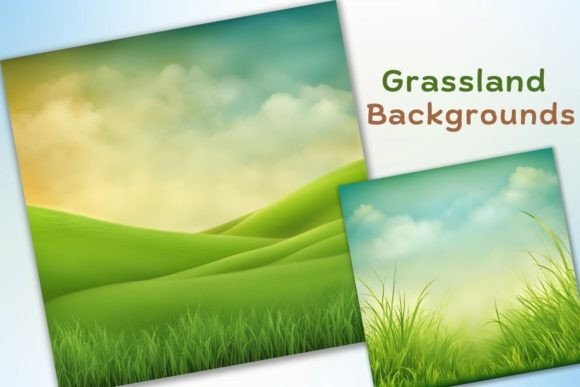 Find Serenity: The Power of Grassland Backgrounds